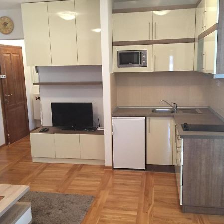 Nena Apartman Zlatibor Kültér fotó